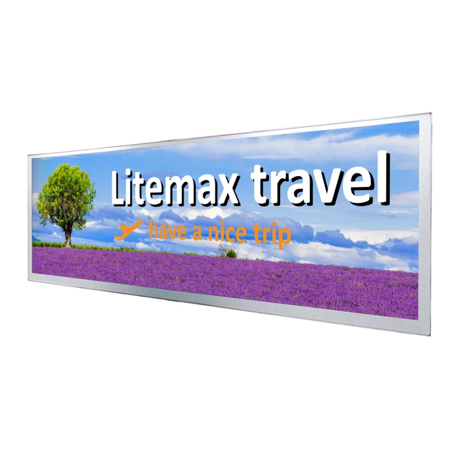 Litemax SSF1945-M Moniteur LCD 19,4" à haute luminosité, ultra-large et étiré