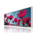 Litemax SSF1722-A 17,2"-Balken-LCD-Display (1366X510) 400 NITS