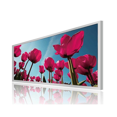 Litemax SSF1722-A Écran LCD à barre de 17,2 pouces (1366X510) 400 NITS