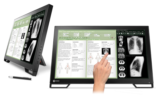 Eizo Medical Monitor